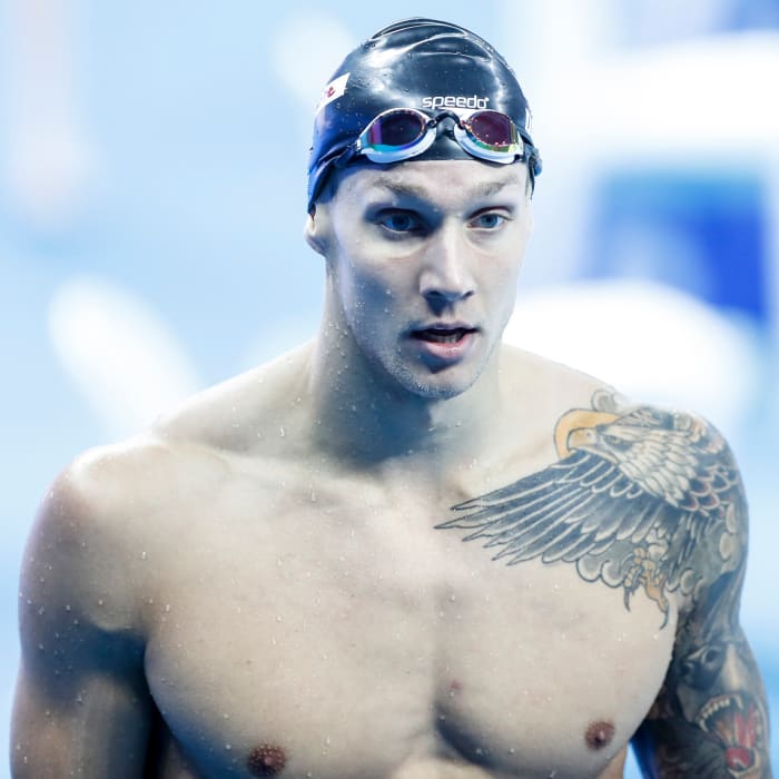 DRESSEL02.jpg